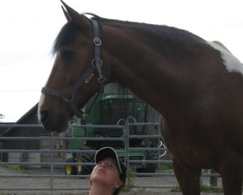 Thérapie avec le cheval 