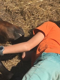 Le plaisir de la rencontre avec l'animal dans un cadre protégé ©PAL